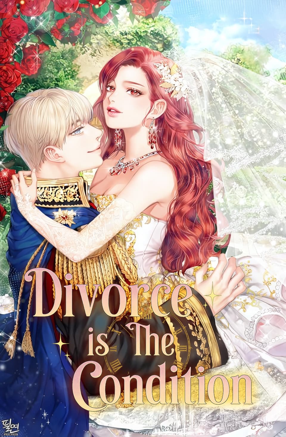 Divorce Is The Condition