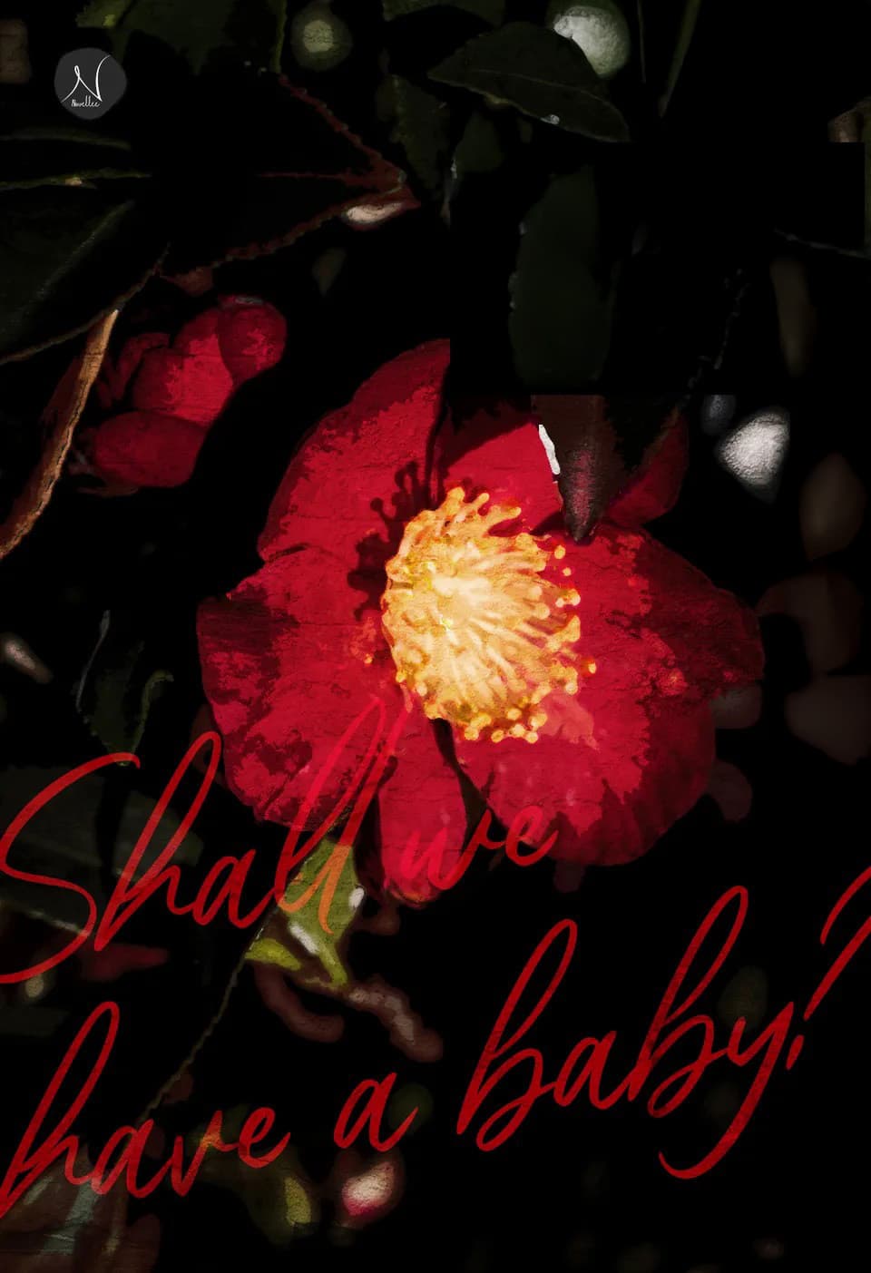 Shall We Have A Baby